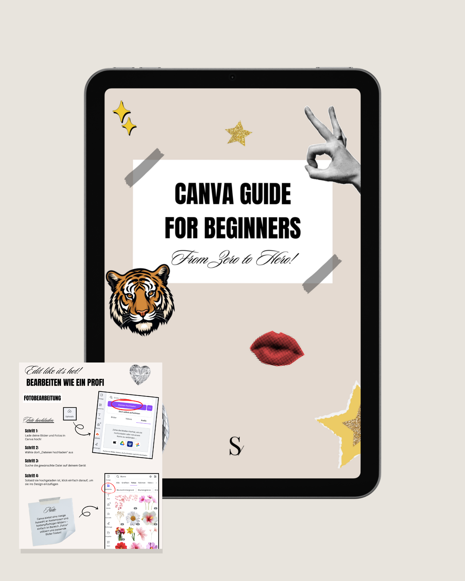 Canva Guide for Beginners!